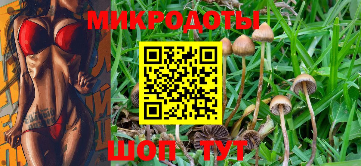 Галлюциногенные грибы Magic Shrooms  Вход с VPN  где продают наркотики  Асино  Галлюциногенные грибы Psilocybine cubensis 
